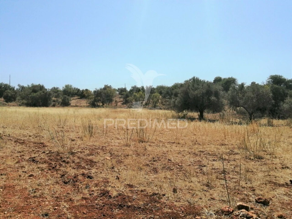 Terreno para Venda em São Bartolomeu de Messines Foto 13