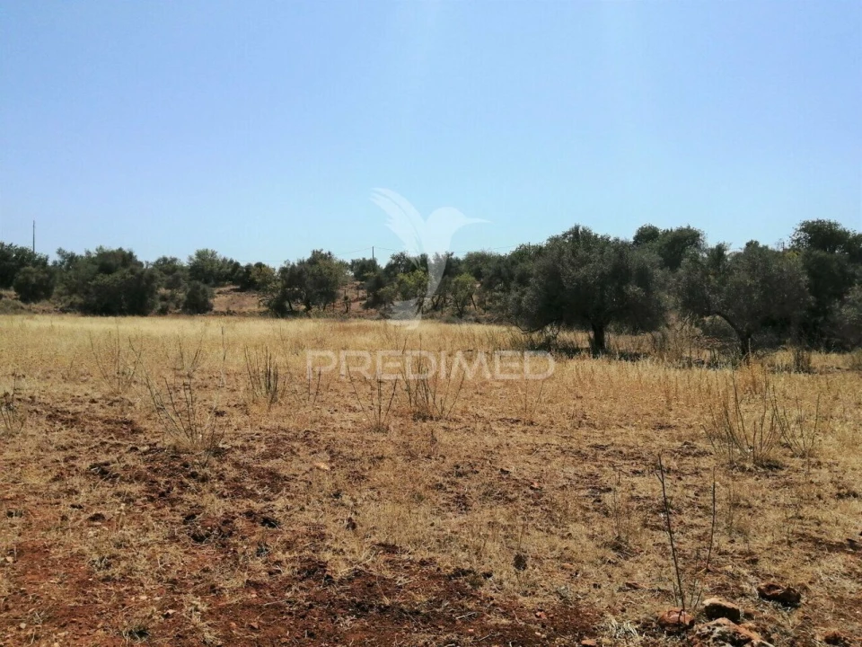 Terreno para Venda em São Bartolomeu de Messines Foto 12