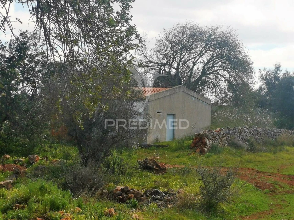 Terreno para Venda em São Bartolomeu de Messines Foto 2