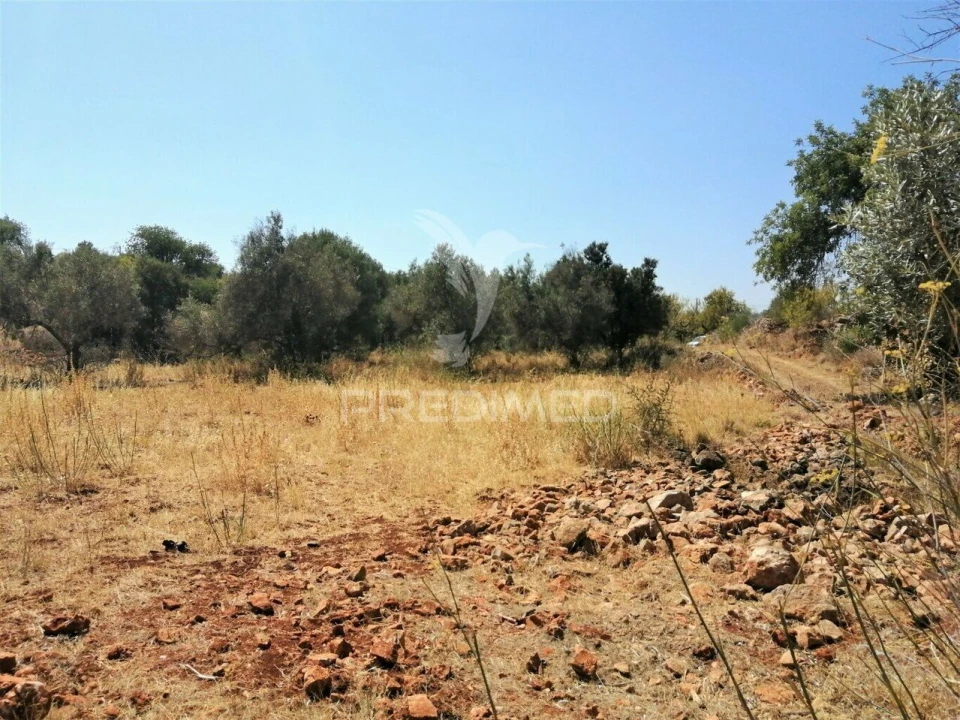 Terreno para Venda em São Bartolomeu de Messines Foto 17