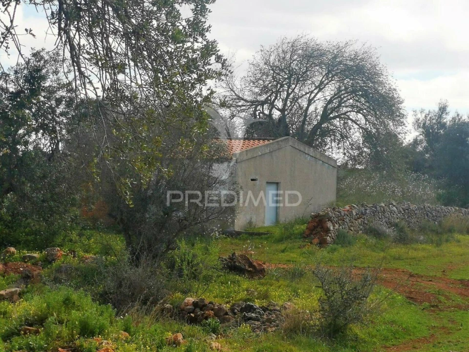 Terreno para Venda em São Bartolomeu de Messines Foto 9