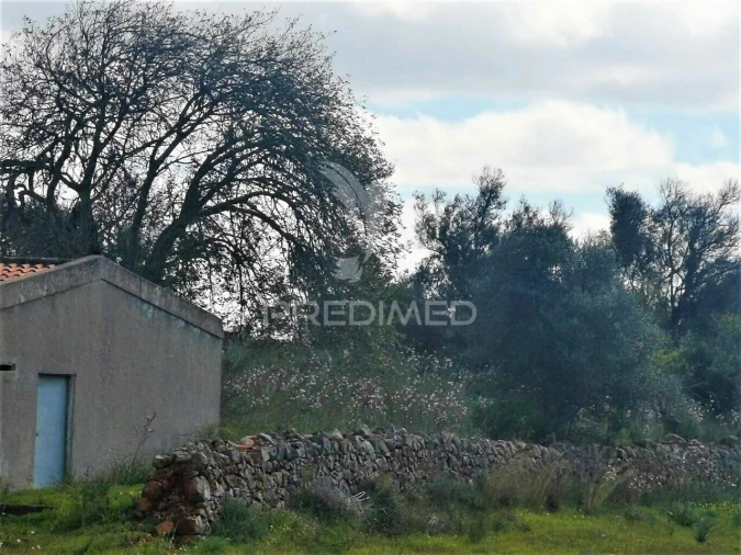 Terreno para Venda em São Bartolomeu de Messines Foto 3