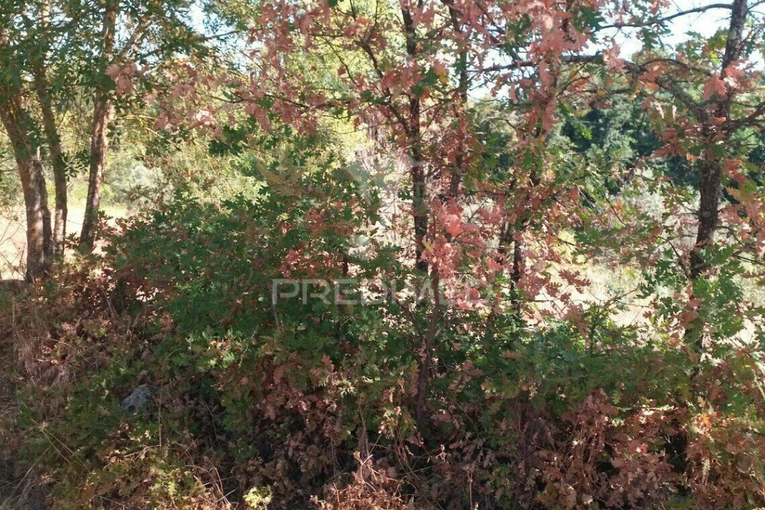 Terreno para Venda em Vila Cortes da Serra Foto 11