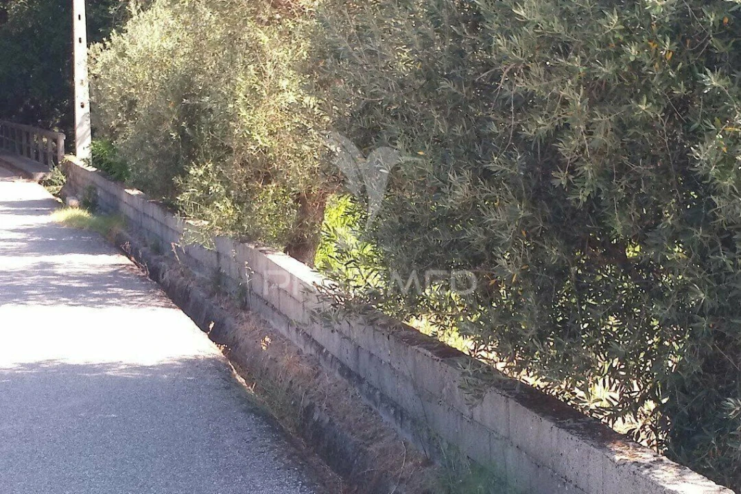 Terreno para Venda em Vila Cortes da Serra Foto 20