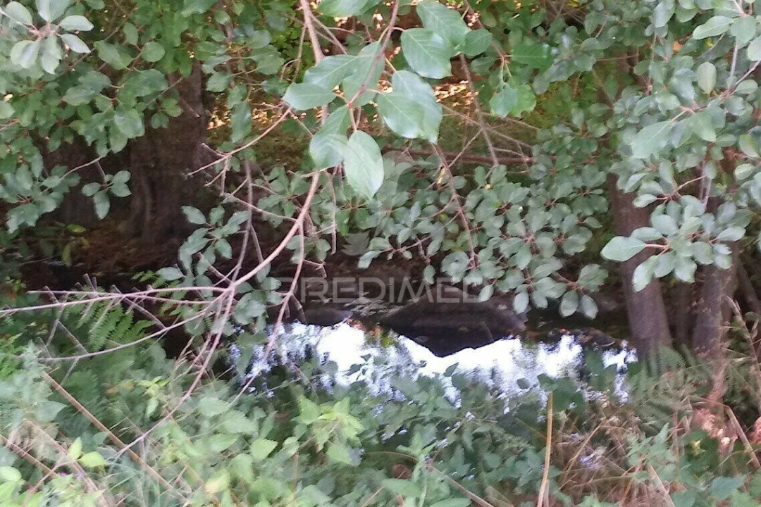 Terreno para Venda em Vila Cortes da Serra Foto 32