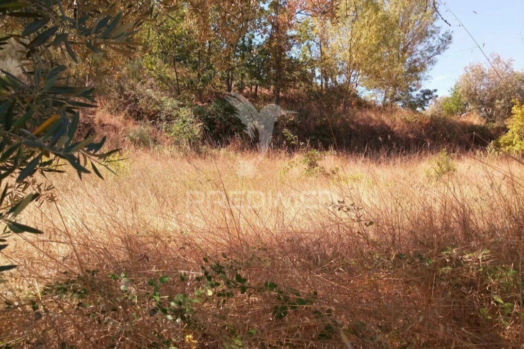 Terreno para Venda em Vila Cortes da Serra Foto 22