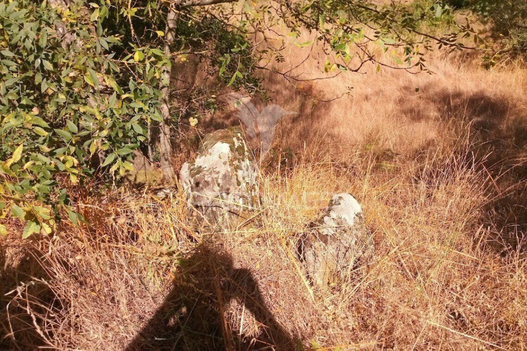Terreno para Venda em Vila Cortes da Serra Foto 15