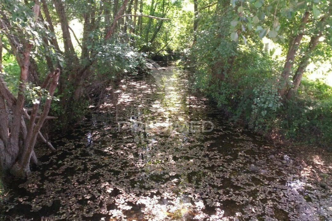 Terreno para Venda em Vila Cortes da Serra Foto 31