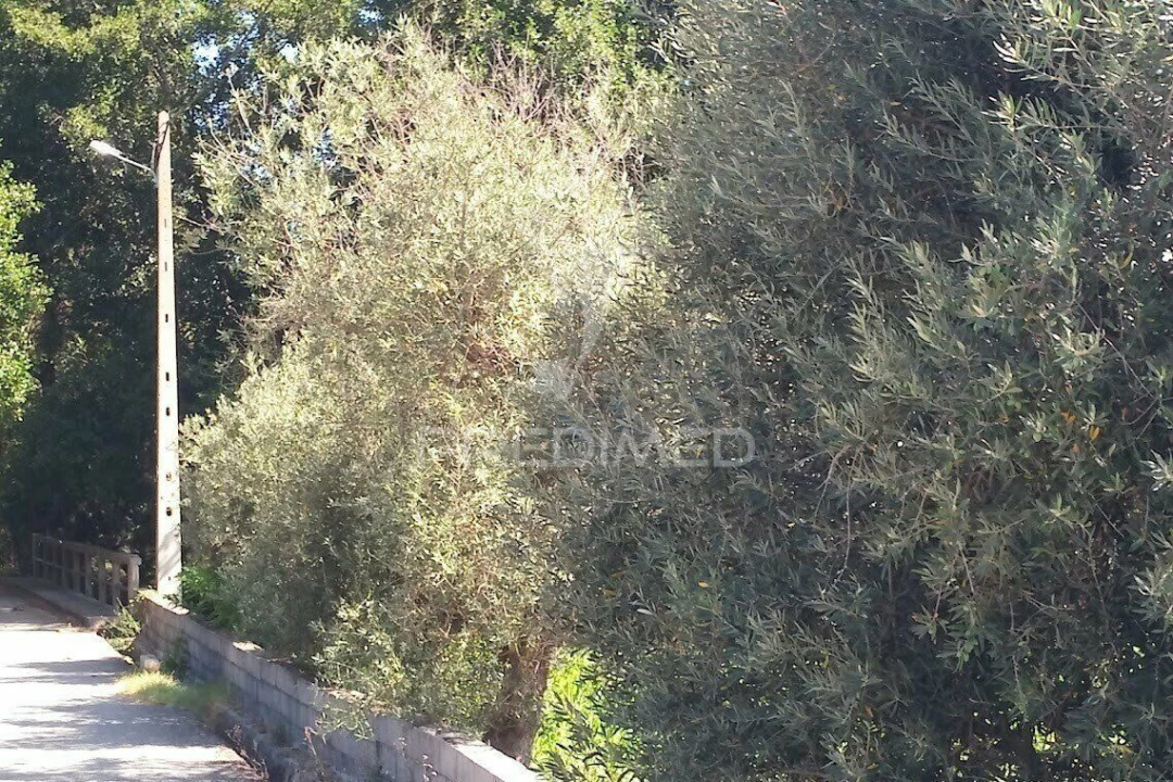 Terreno para Venda em Vila Cortes da Serra Foto 21
