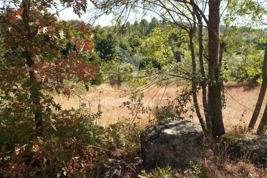 Terreno para Venda em Vila Cortes da Serra Foto 12