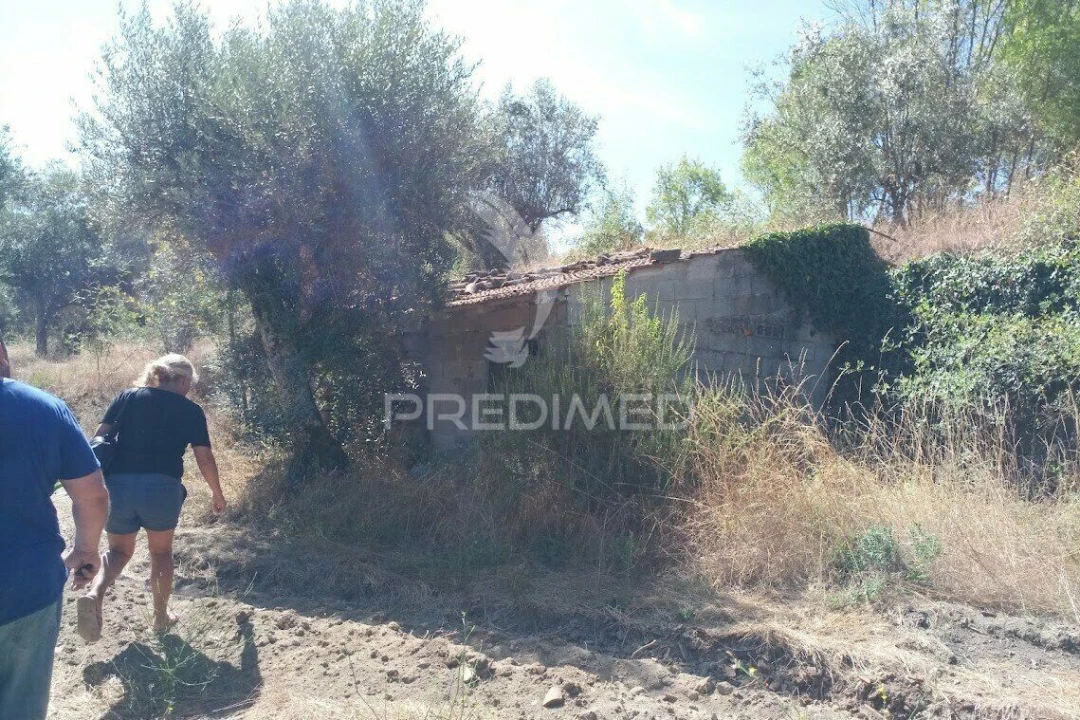 Terreno para Venda em Vila Cortes da Serra Foto 8