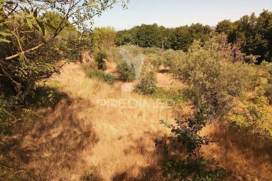 Terreno para Venda em Vila Cortes da Serra Foto 16