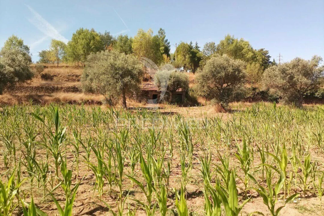Terreno para Venda em Vila Cortes da Serra Foto 25