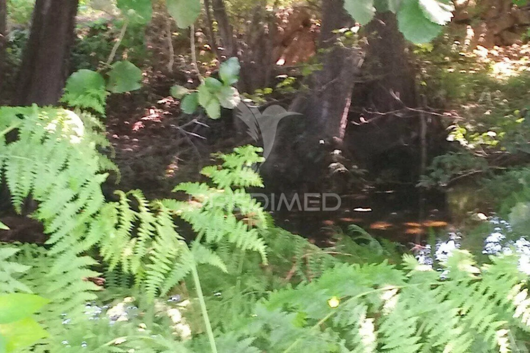 Terreno para Venda em Vila Cortes da Serra Foto 28