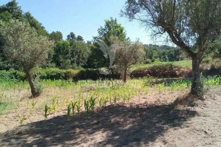 Terreno para Venda em Vila Cortes da Serra Foto 23