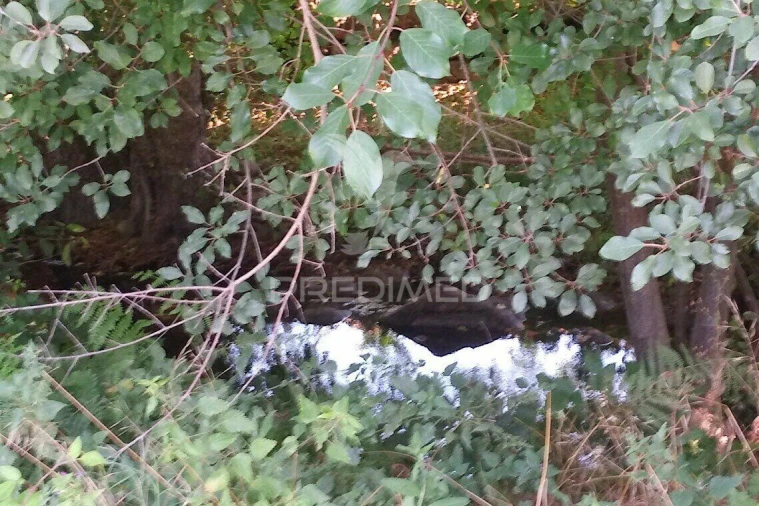 Terreno para Venda em Vila Cortes da Serra Foto 32