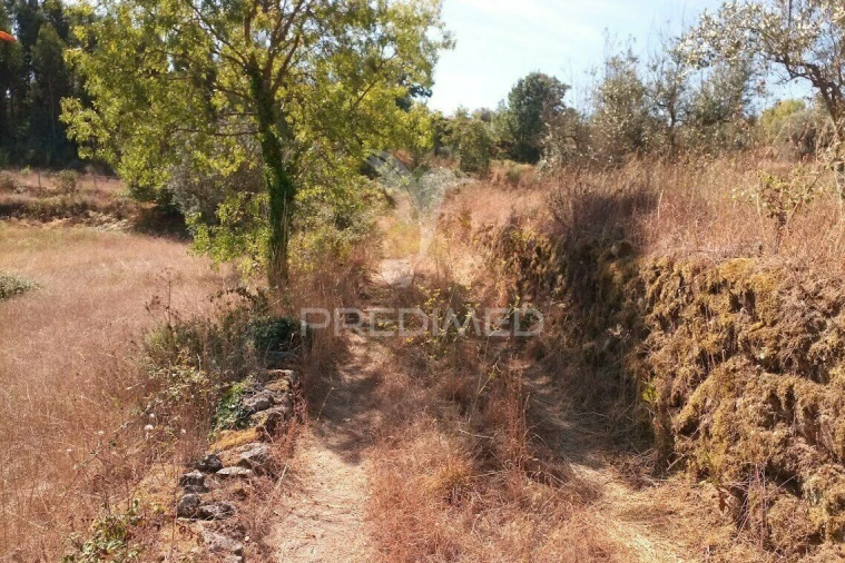 Terreno para Venda em Vila Cortes da Serra Foto 13