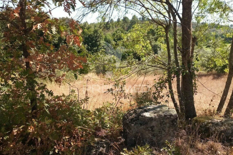 Terreno para Venda em Vila Cortes da Serra Foto 12