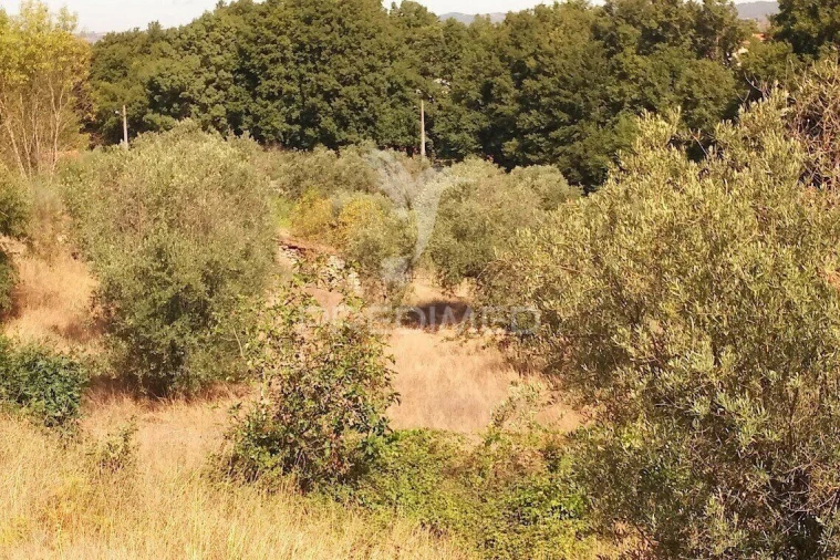 Terreno para Venda em Vila Cortes da Serra Foto 17
