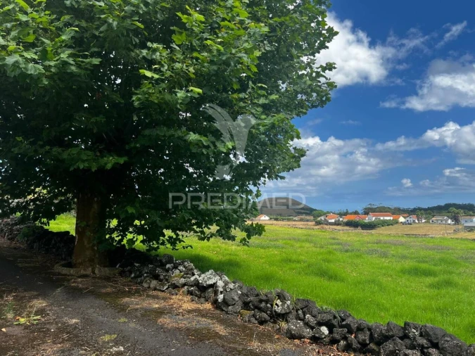 Terreno para Venda em Fonte do Bastardo Foto 22