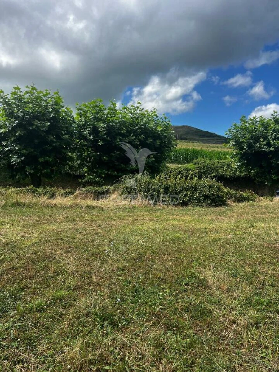 Terreno para Venda em Fonte do Bastardo Foto 5