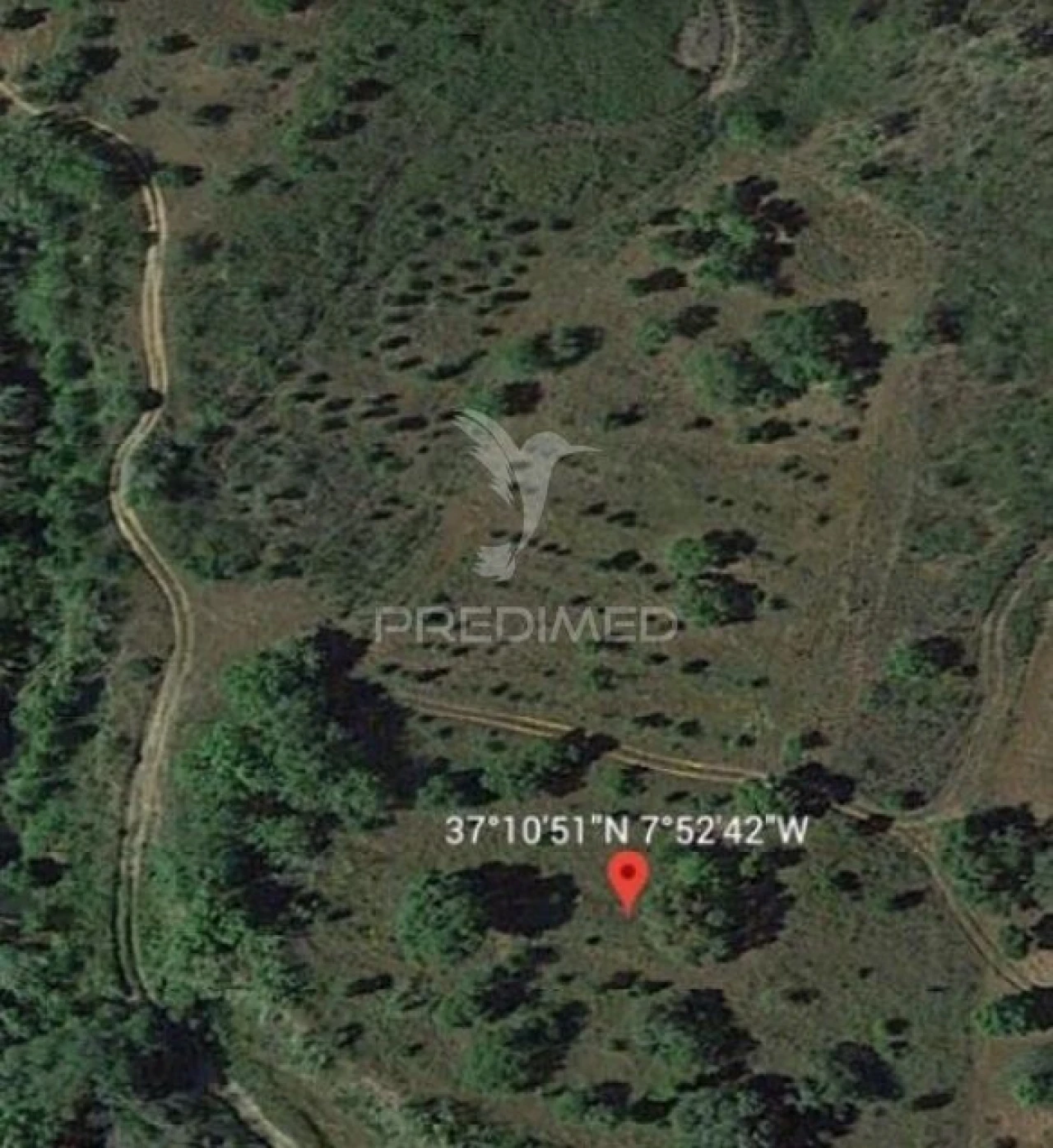 Terreno para Venda em São Brás de Alportel Foto 2