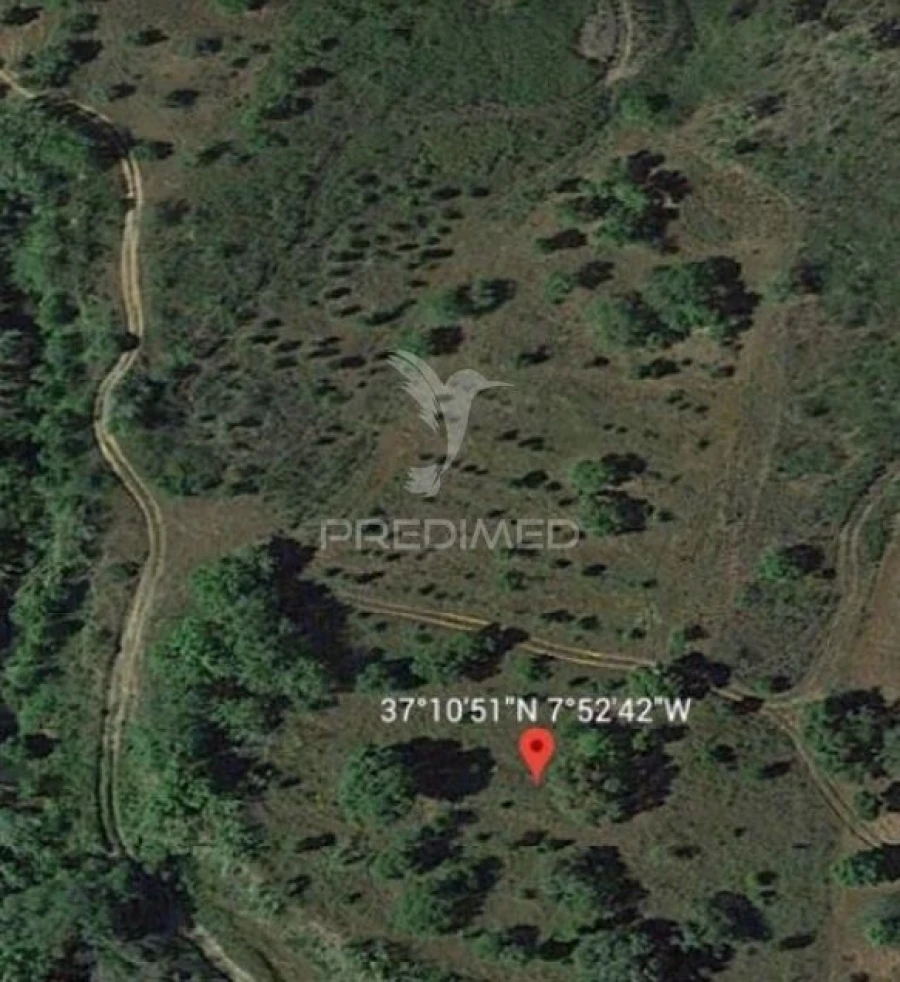 Terreno para Venda em São Brás de Alportel Foto 9