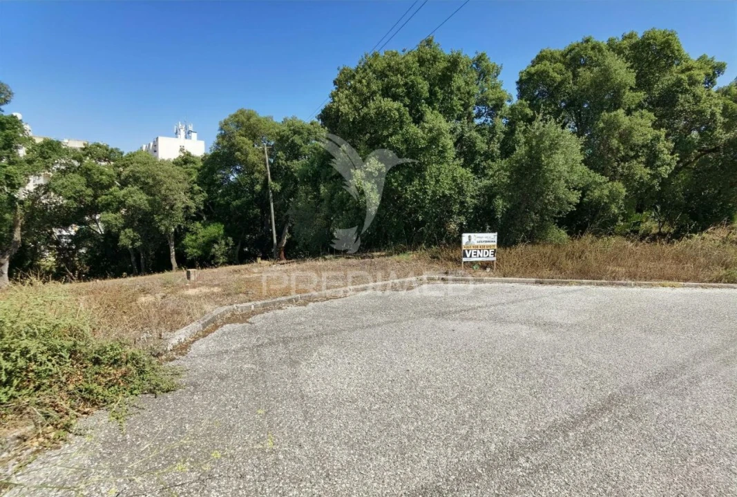 Terreno para Venda em Marvila, Ribeira Santarém, São Salvador, São Nicolau Foto 20