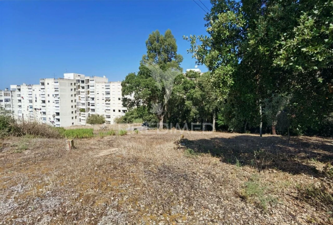 Terreno para Venda em Marvila, Ribeira Santarém, São Salvador, São Nicolau Foto 9