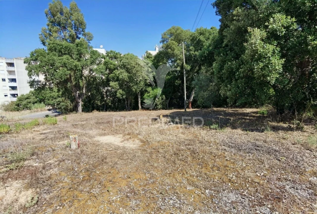 Terreno para Venda em Marvila, Ribeira Santarém, São Salvador, São Nicolau Foto 17