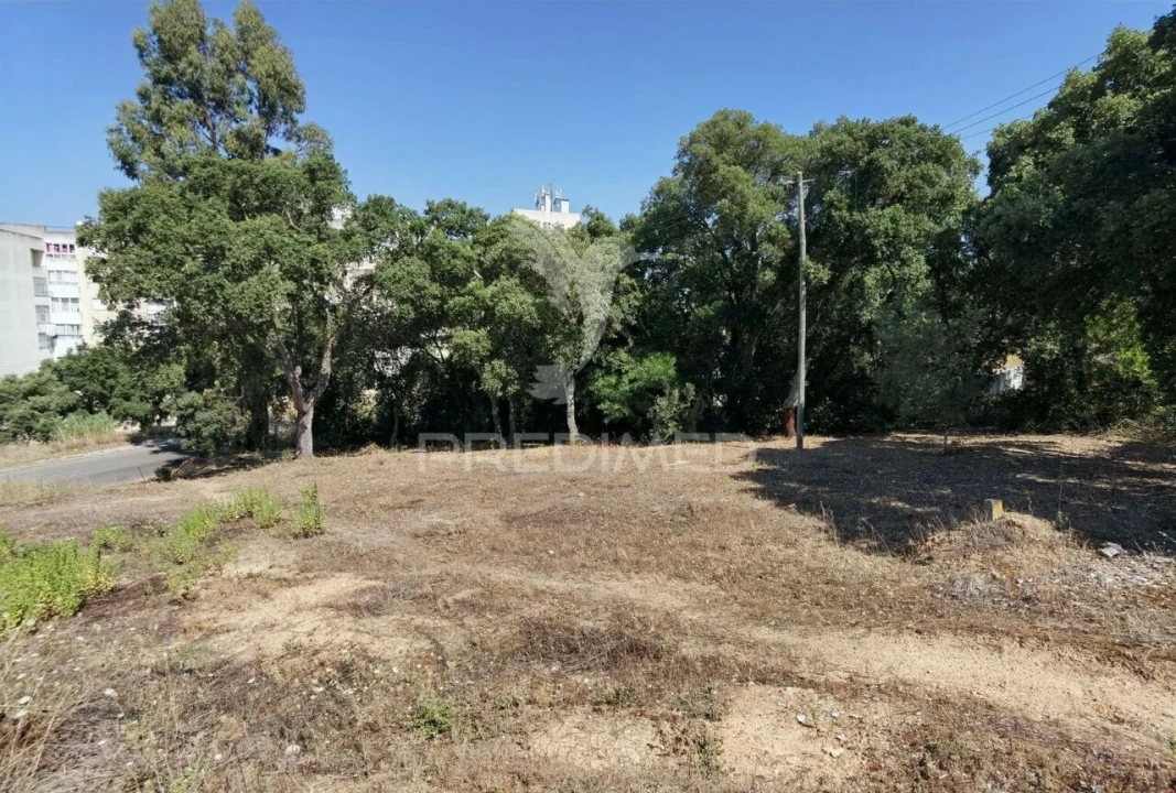 Terreno para Venda em Marvila, Ribeira Santarém, São Salvador, São Nicolau Foto 19
