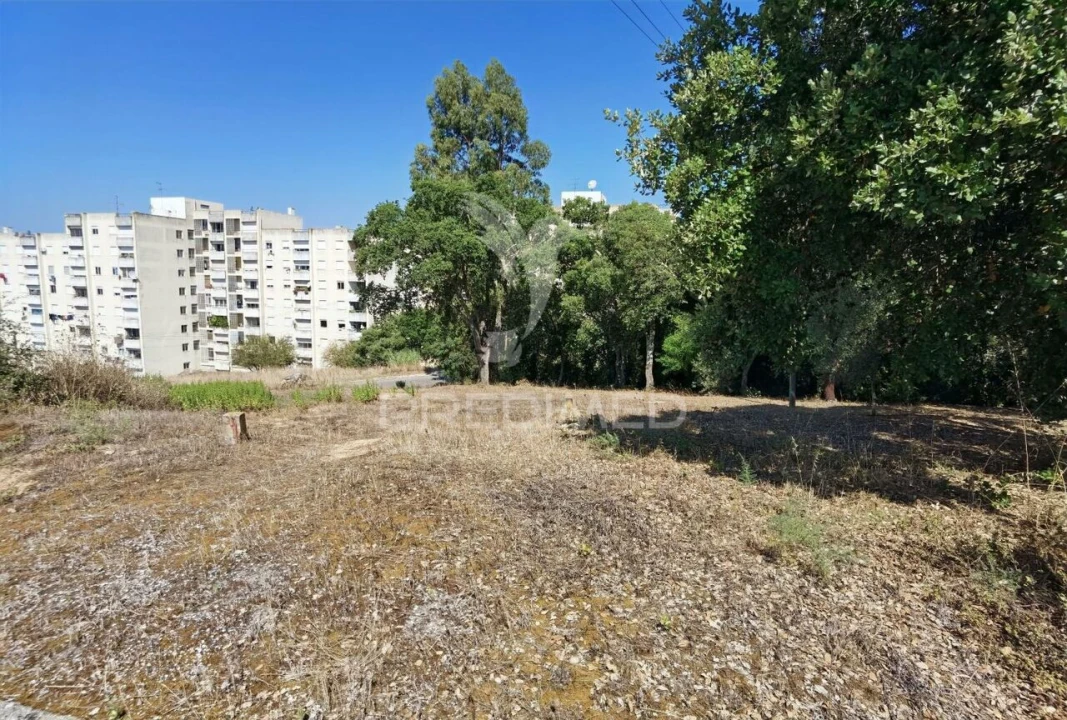 Terreno para Venda em Marvila, Ribeira Santarém, São Salvador, São Nicolau Foto 22