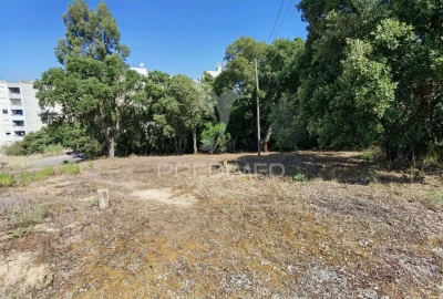 Terreno para Venda em Marvila, Ribeira Santarém, São Salvador, São Nicolau