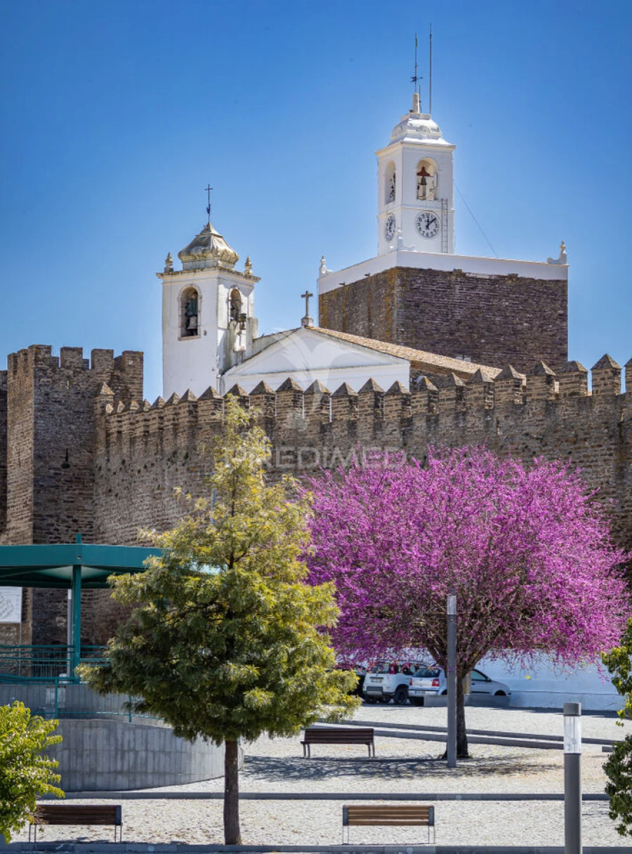 Loja para Venda em Nossa Senhora da Conceição, São Brás dos Matos, Juromenha Foto 5