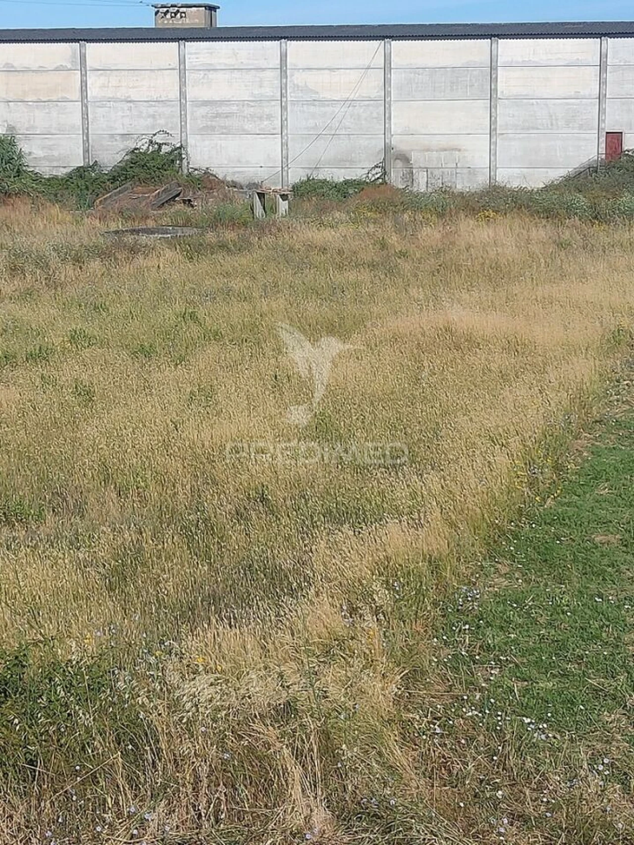 Terreno para Venda em Bugalhos Foto 3