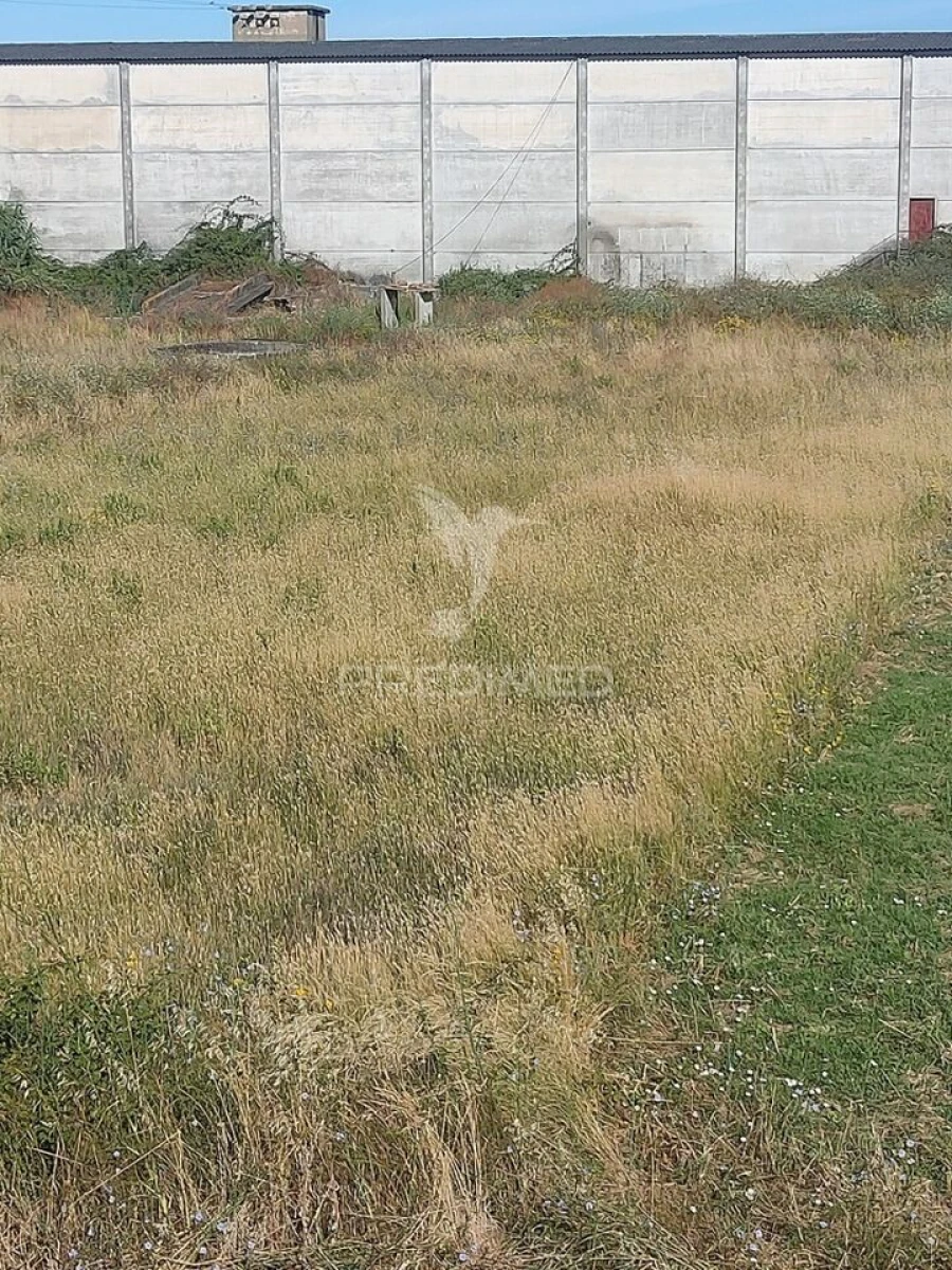 Terreno para Venda em Bugalhos Foto 3