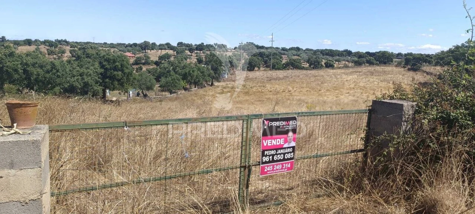 Terreno para Venda em Montalvão Foto 2