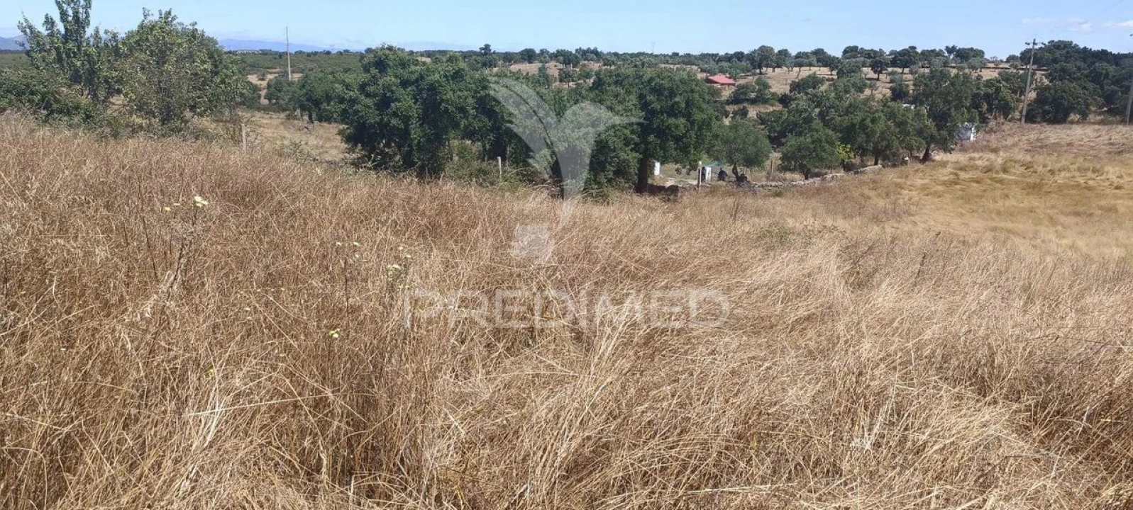 Terreno para Venda em Montalvão Foto 4