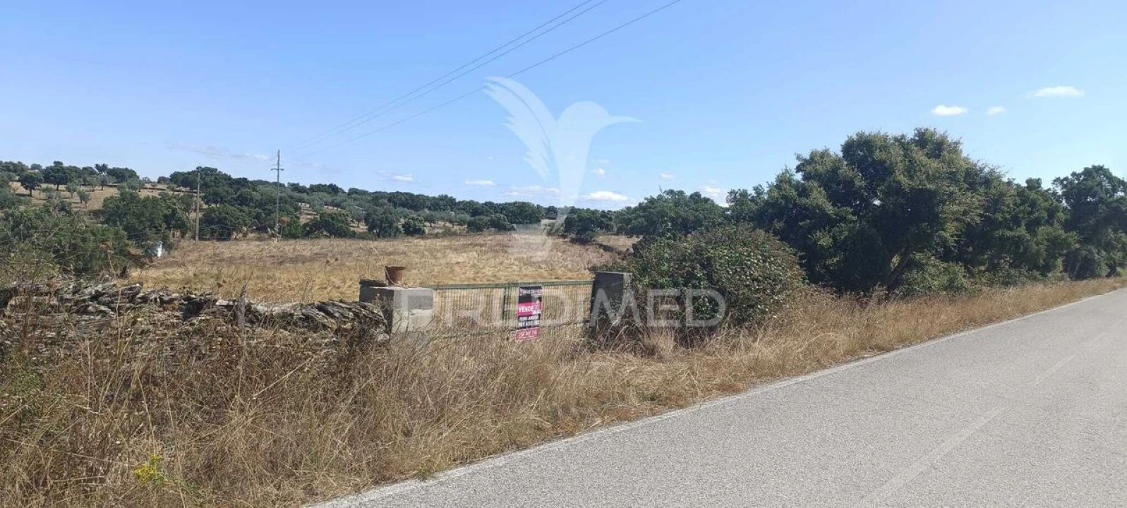 Terreno para Venda em Montalvão Foto 6