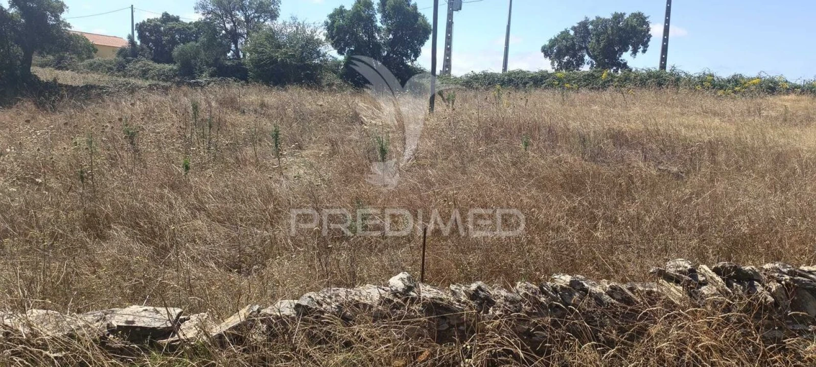 Terreno para Venda em Montalvão Foto 8