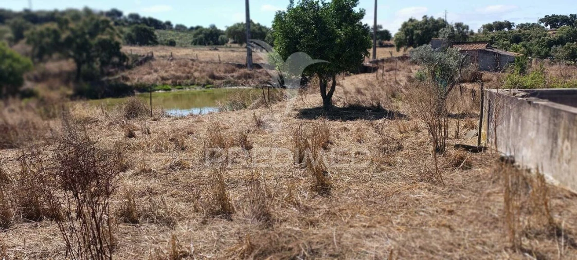 Terreno para Venda em Montalvão Foto 19