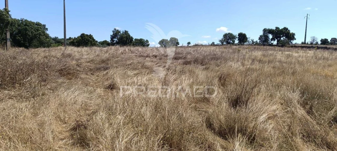 Terreno para Venda em Montalvão Foto 9