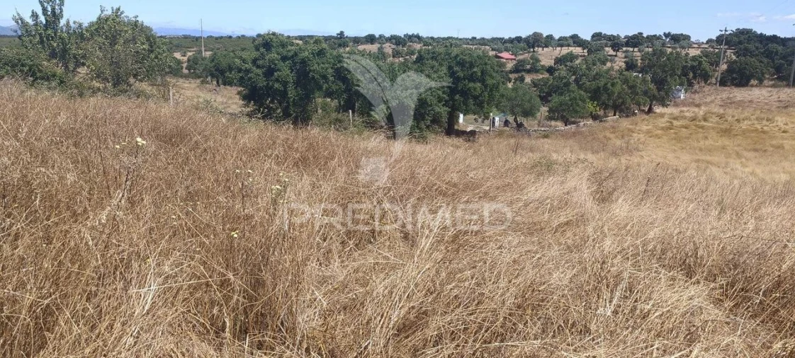 Terreno para Venda em Montalvão Foto 4