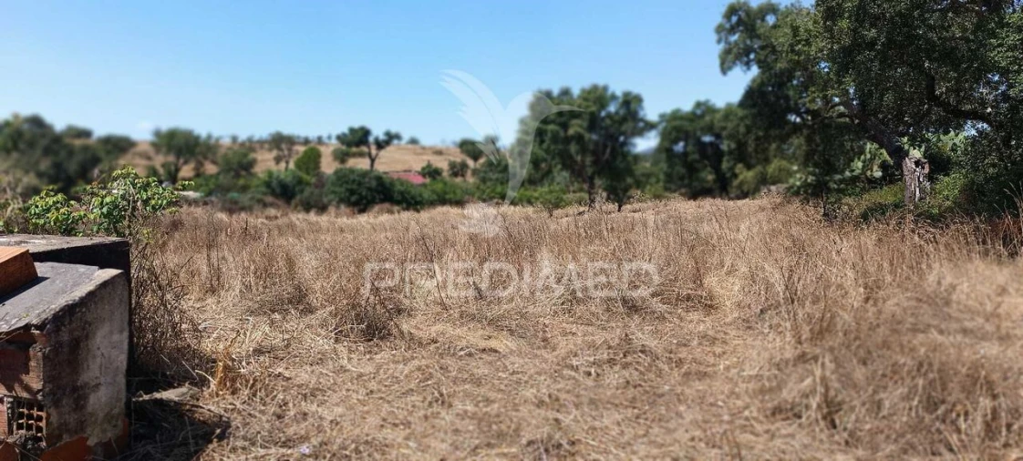 Terreno para Venda em Montalvão Foto 17