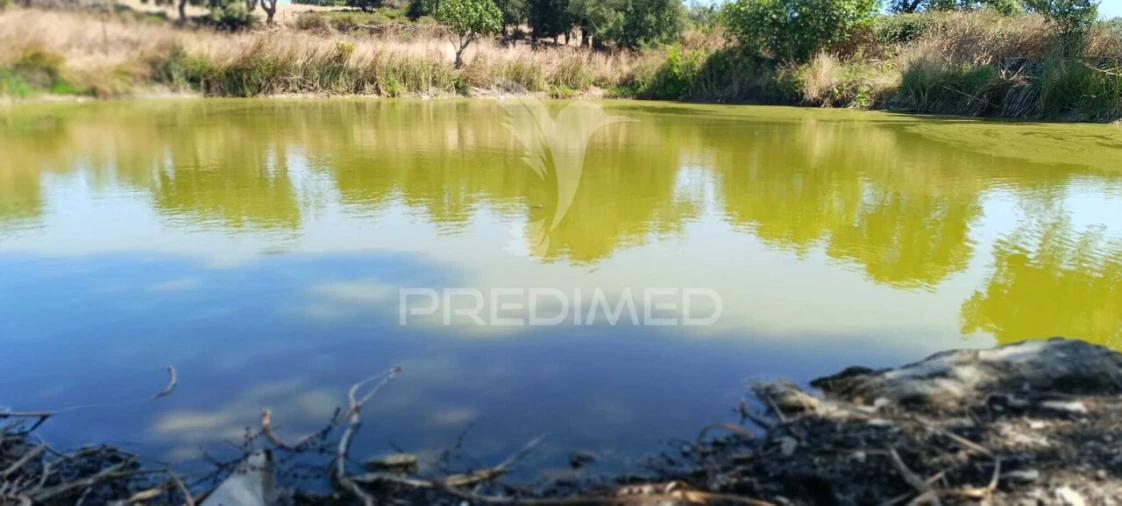 Terreno para Venda em Montalvão Foto 12