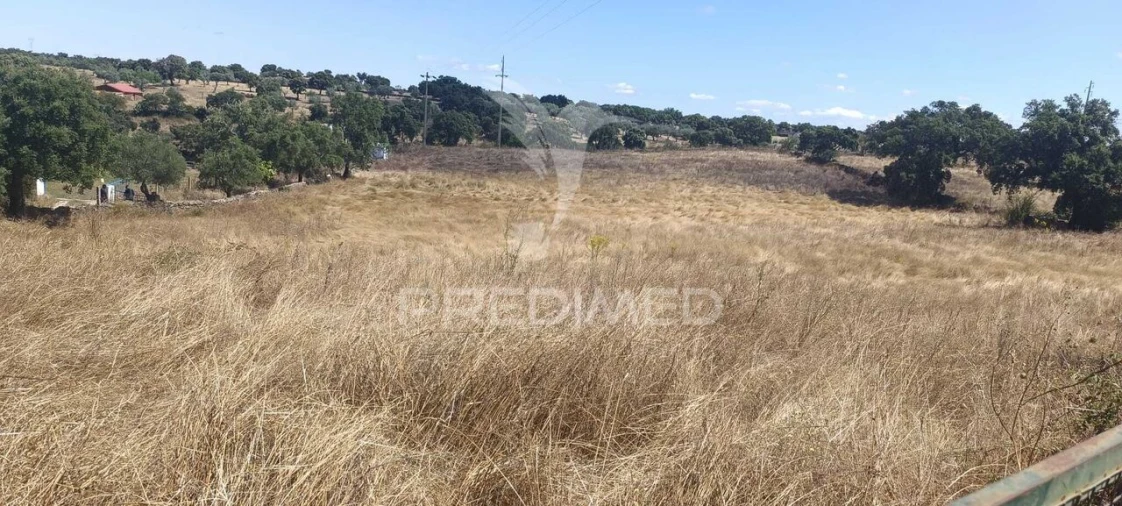 Terreno para Venda em Montalvão Foto 3