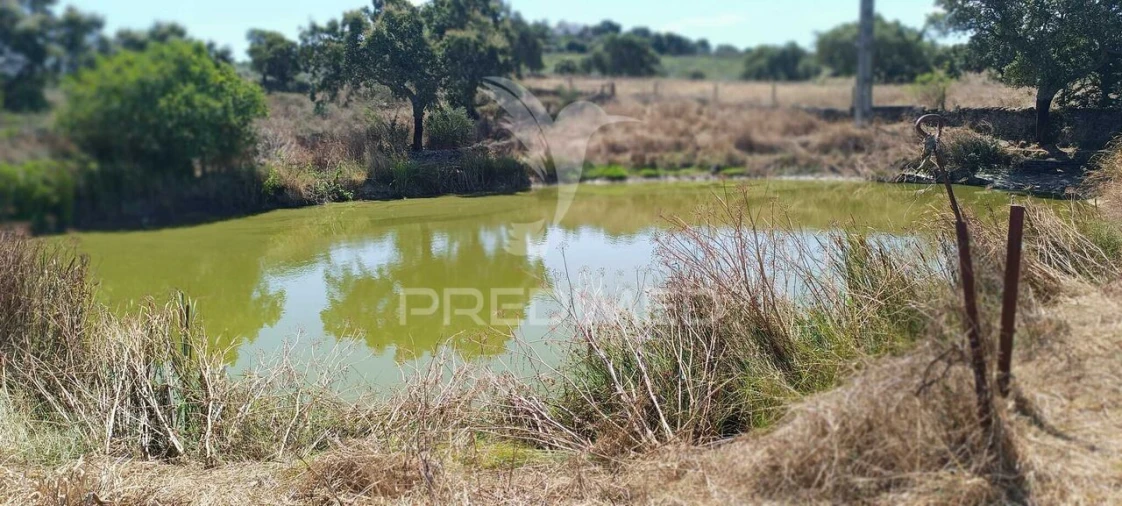 Terreno para Venda em Montalvão Foto 14