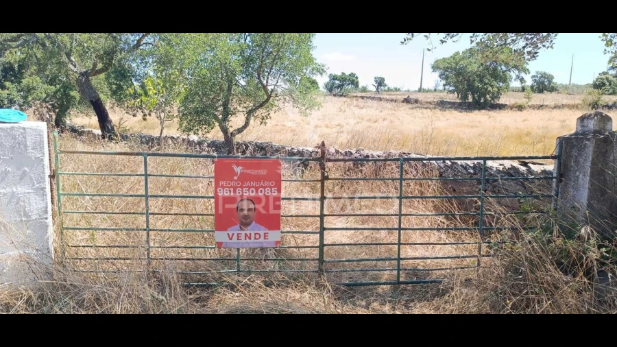 Terreno para Venda em Montalvão
