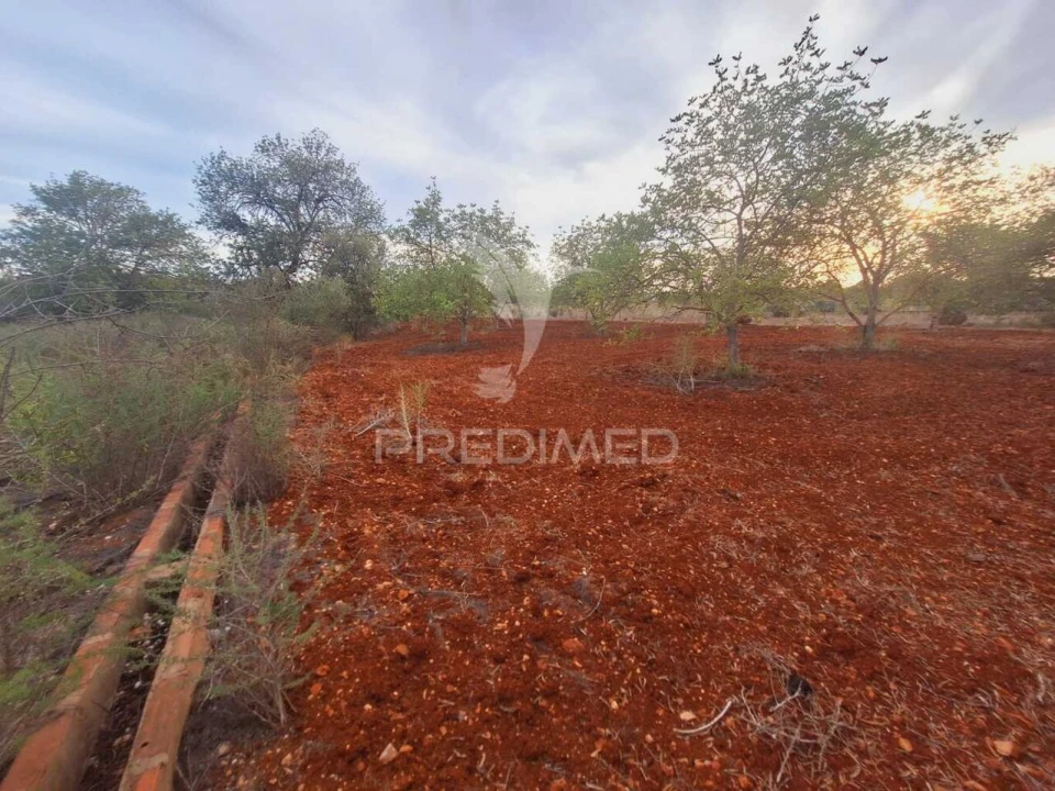 Terreno para Venda em Loule (São Sebastião) Foto 12