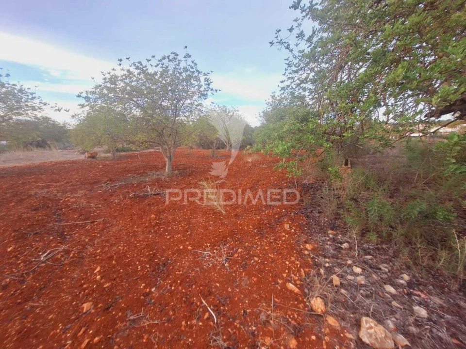 Terreno para Venda em Loule (São Sebastião) Foto 11